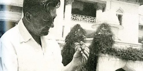 Борис Лисаневич