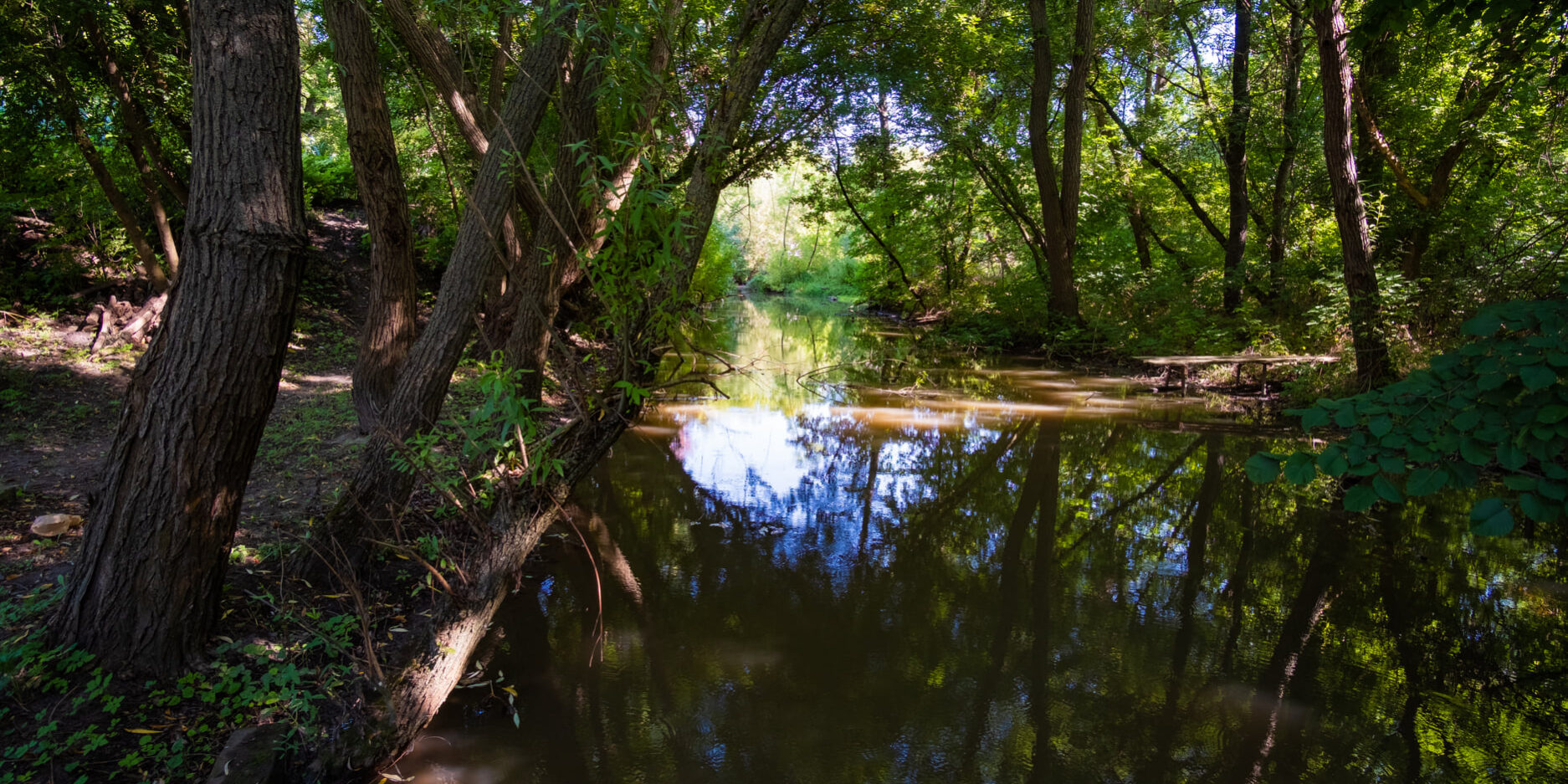 річка Бушанка