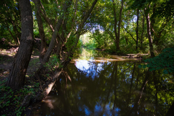 річка Бушанка