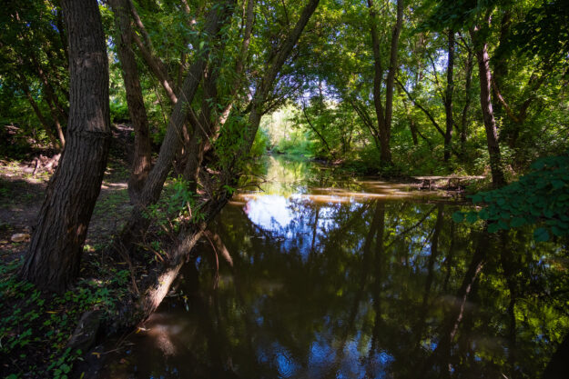 річка Бушанка