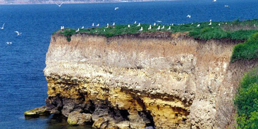 остров Березань