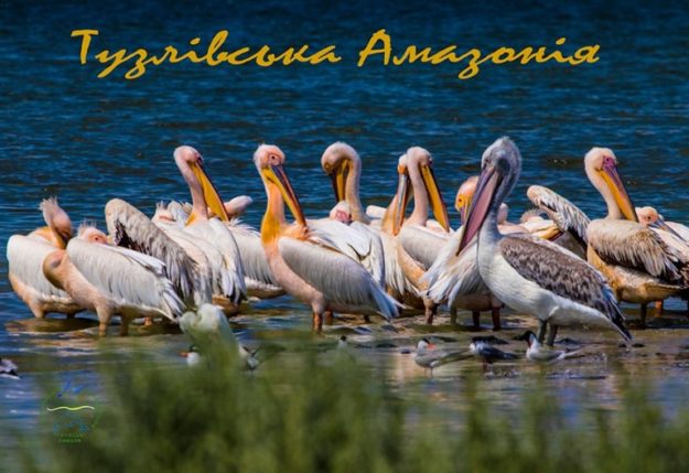 Тузловские лиманы