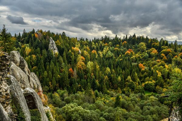 Скали_в_Тустань