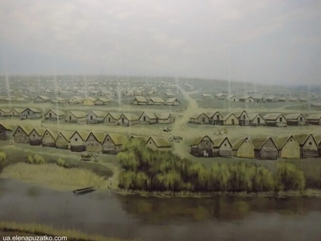 Поселення трипільців