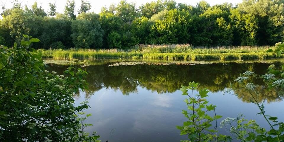 Саврань